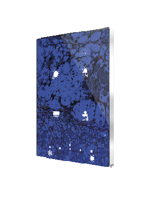 Capacitive push button Touch-MyDesign - 4/6/8 Buttons & Thermostat - ZVI-TMDP4-C